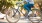 a person riding a bicycle