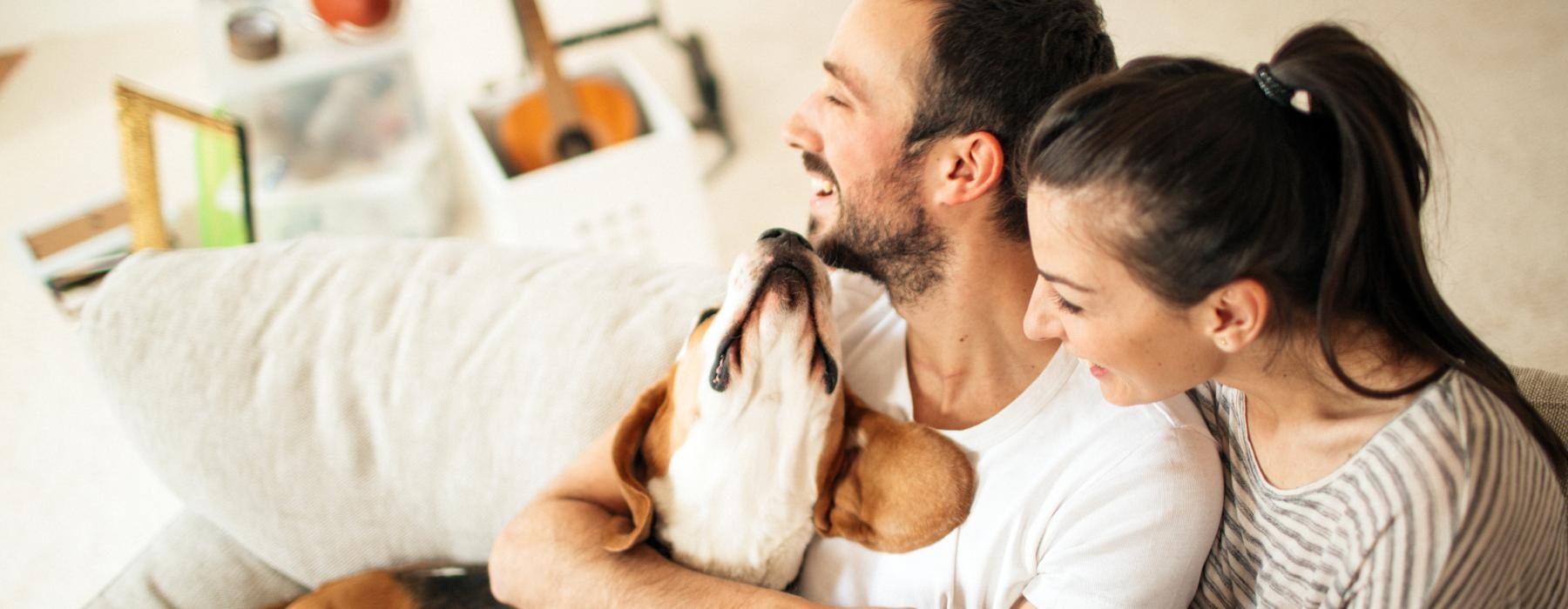 a man and woman holding a dog